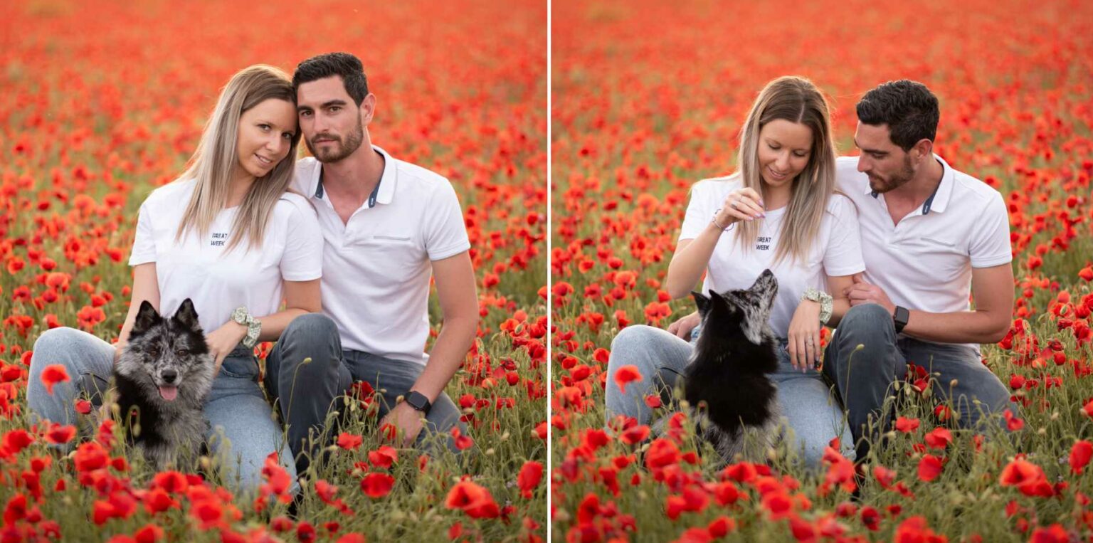 Photographe-animalier-aix-en-provence-marseille-pertuis