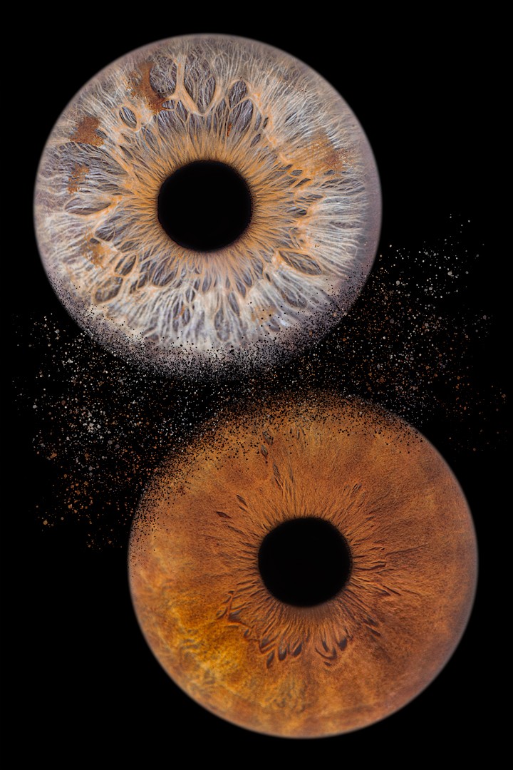 Photographe-iris-aix-en-provence-marseille-pertuis
